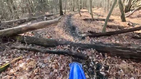 Locust gap buddhist single women